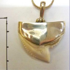 pendant..sharks tooth-